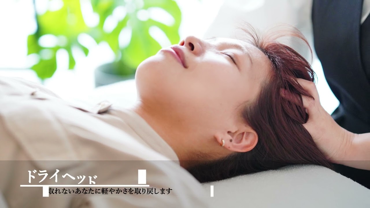 ﾄﾞﾗｲﾍｯﾄﾞｽﾊﾟｻﾛﾝRepos_PV