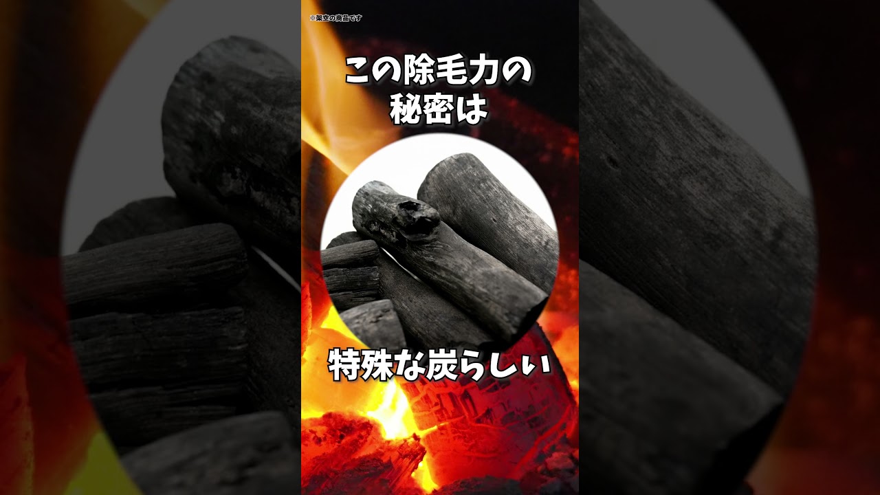 ショート動画_サンプル②