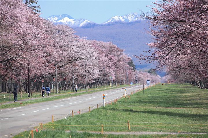 趣味、トラベル（国内）