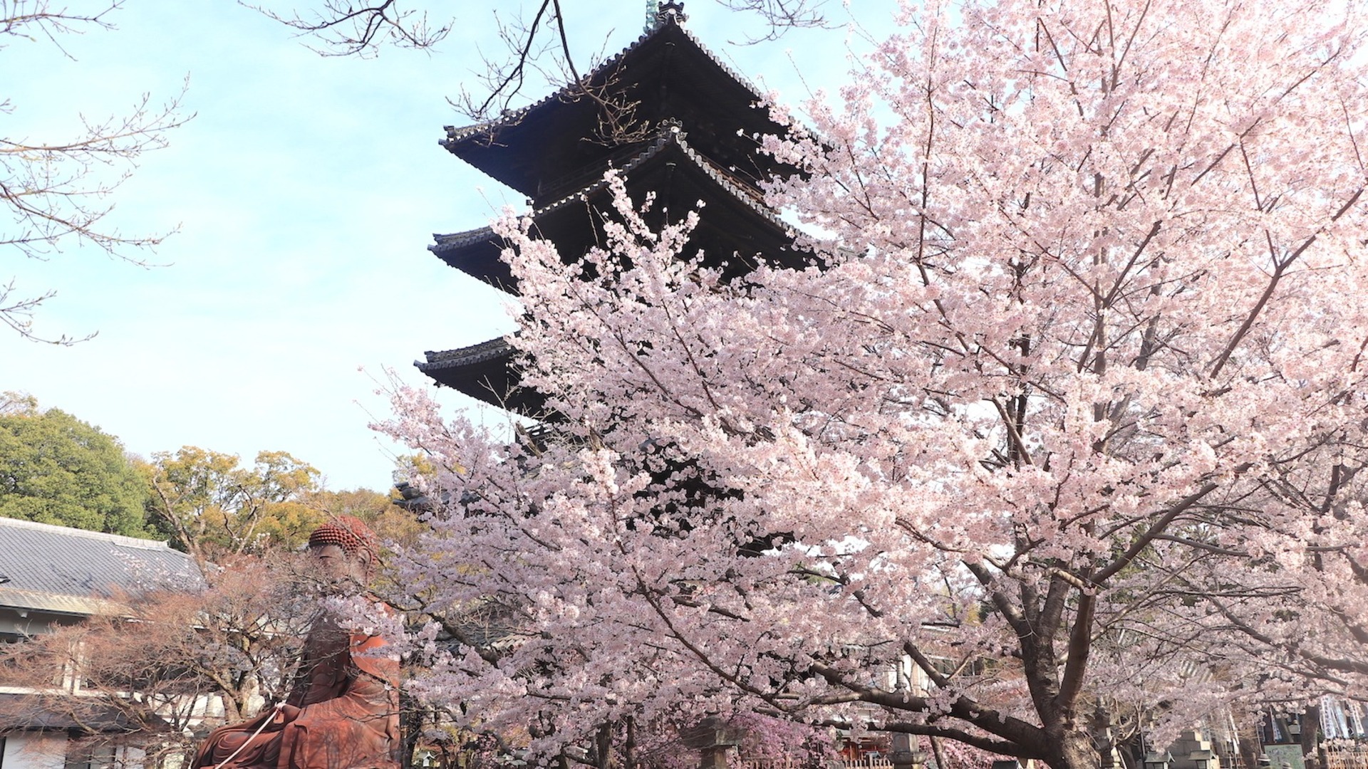 絵本、フォトグラファー