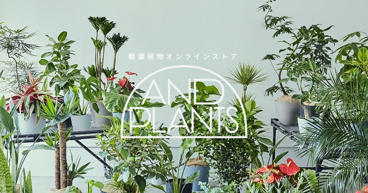 AND PLANTS（アンドプランツ） |　観葉植物・インテリアブランド