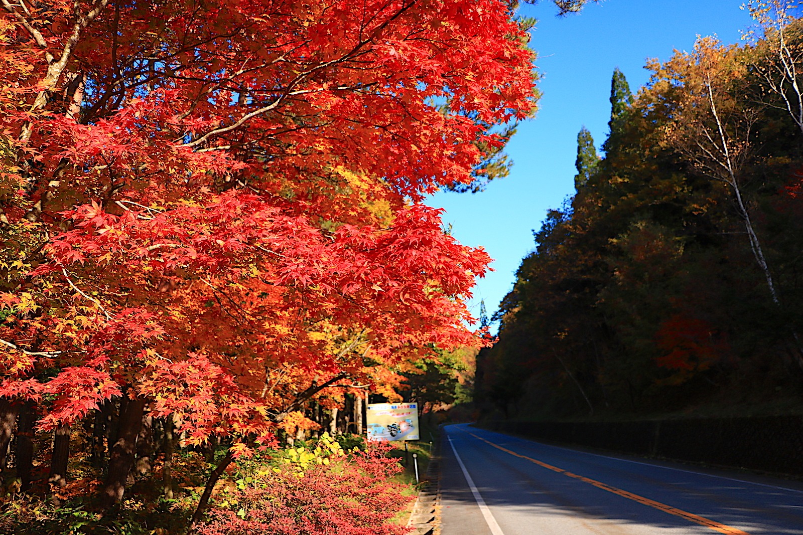 「この道、バイクで走りたい！」四季折々美しい、岐阜の道5選｜旅のコラム｜岐阜県観光公式サイト 「岐阜の旅ガイド」