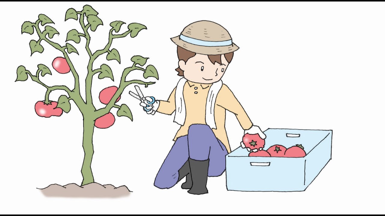 デジタルイラスト、テレビ