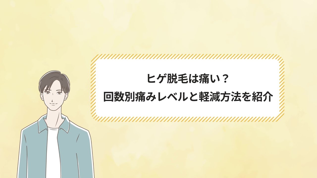紹介動画、記事