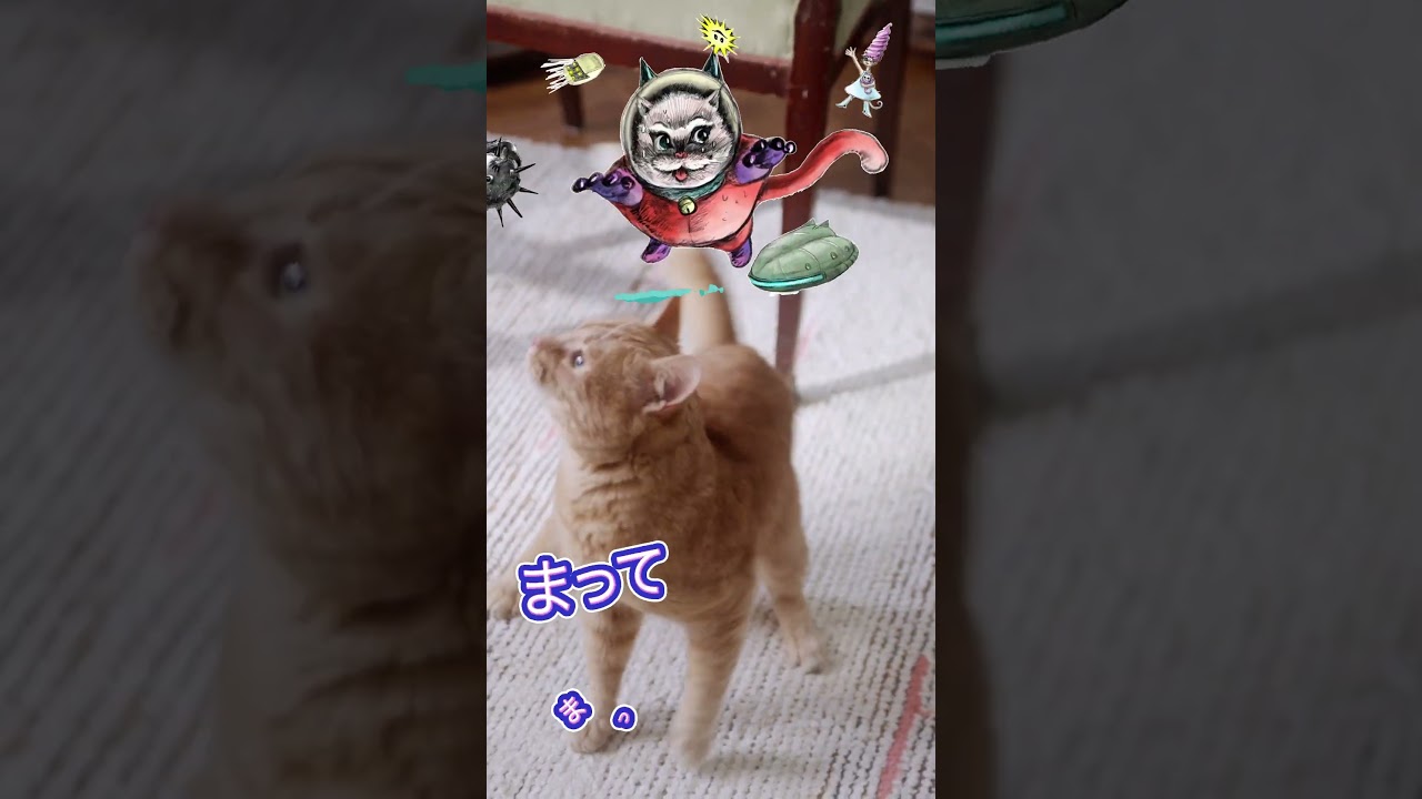 エフェクト、絵本