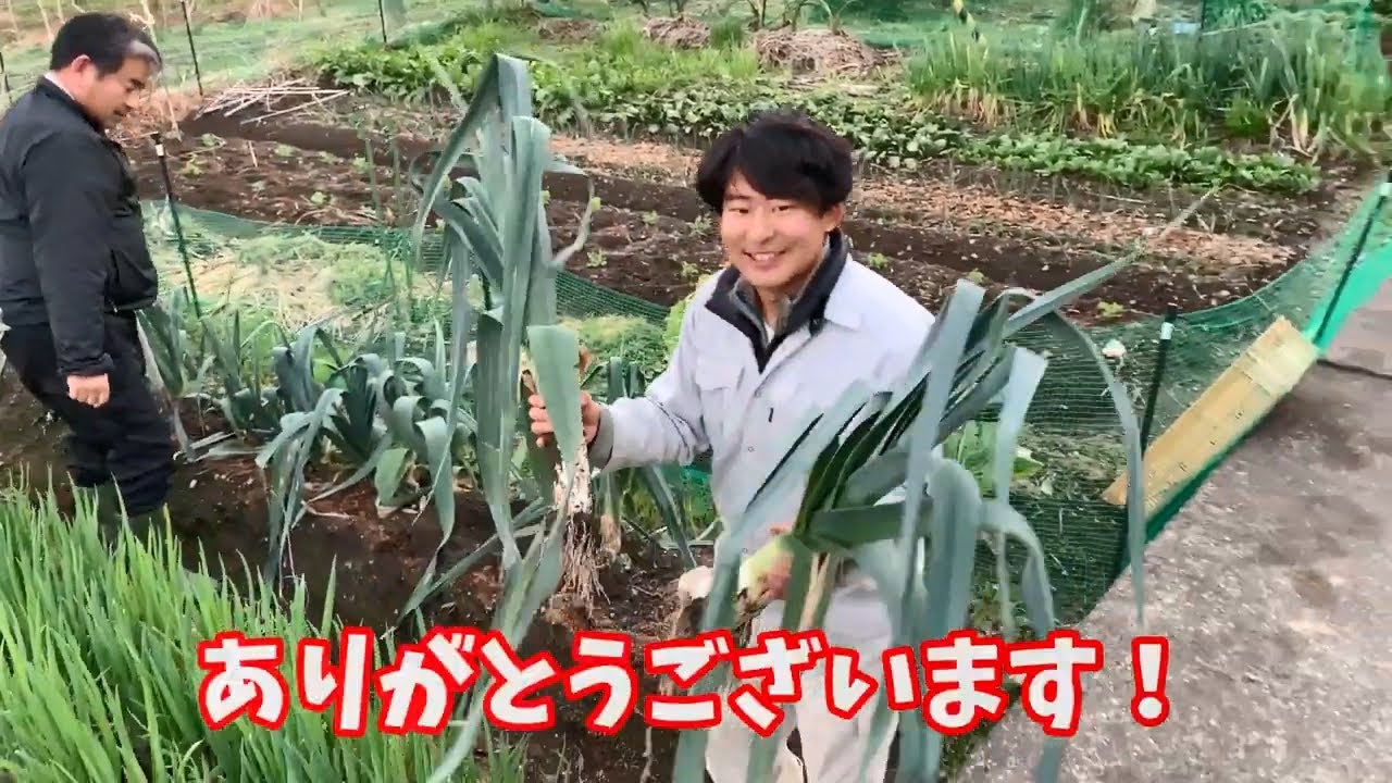 奈良・青ネギ生産組合　紹介動画（エンタメ風）
