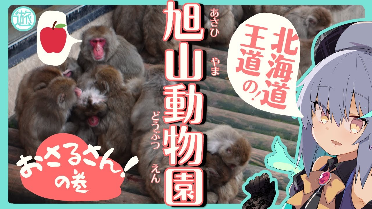 【おひとりさま】北海道・旭山動物園のおさるさんが可愛すぎて〇〇した(〃ω〃)