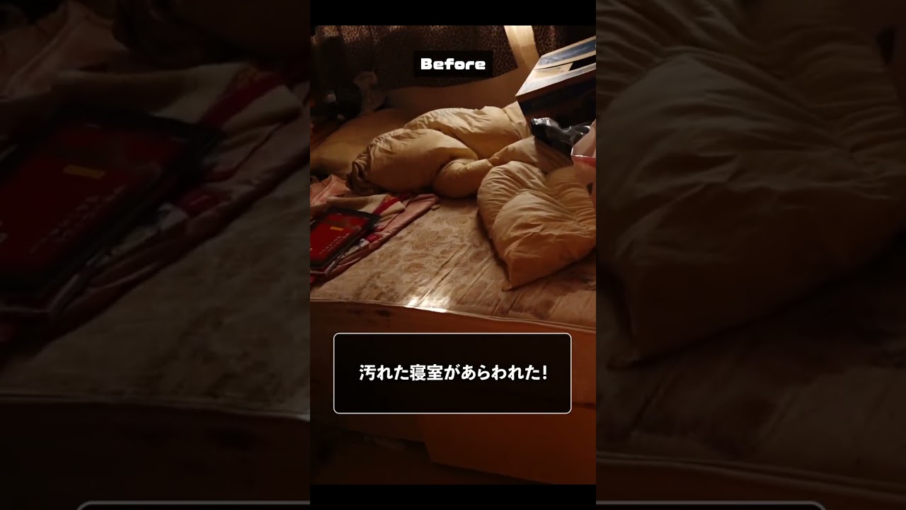 shorts、案件