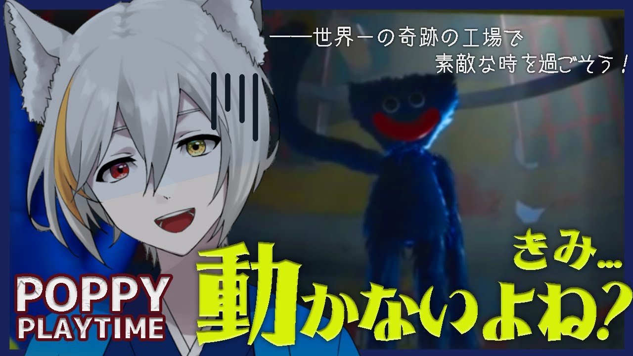vj、動画編集(tv放送)