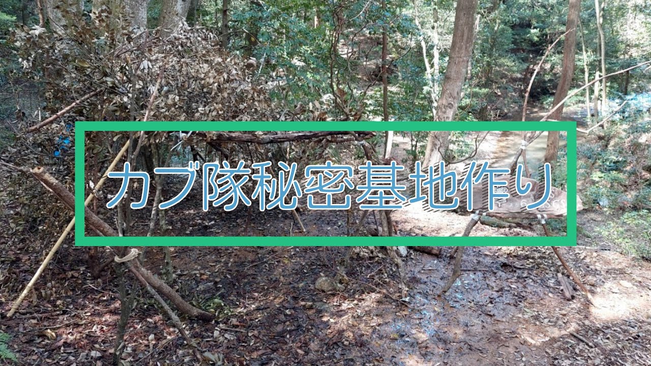 インスタグラム、コンサート
