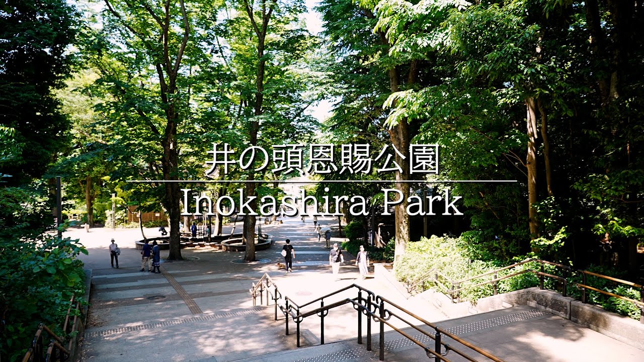 アニメ、photographer