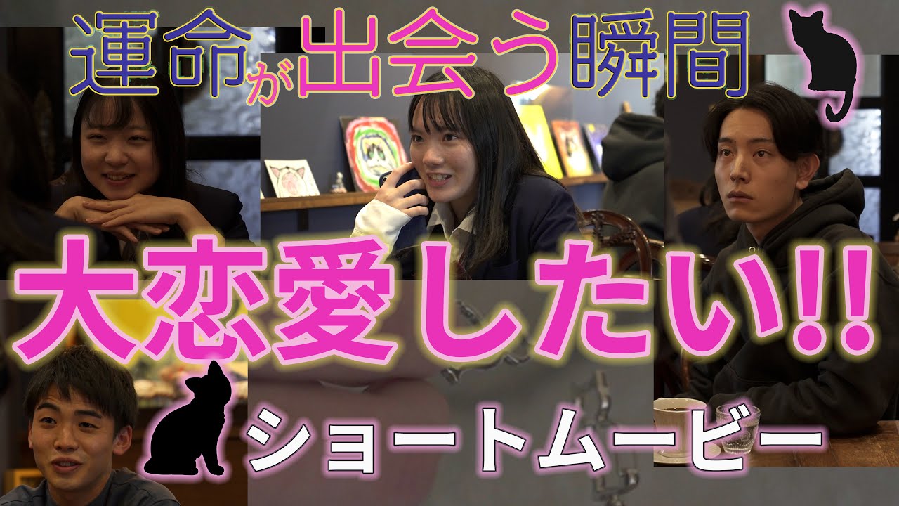 【恋愛】昔憧れた近所のイケメンに人生で再び会える確率は？猫のショートムービー「NEKOKOI」