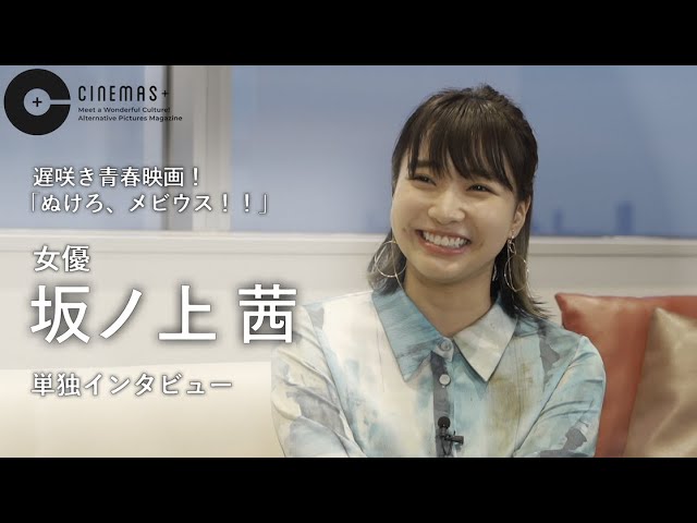 出演、経営者インタビュー