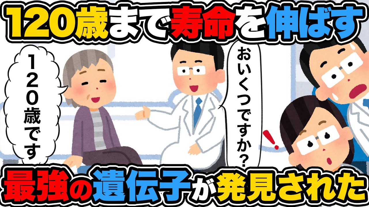 edit、ニュース