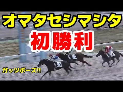 ライオン・キング、2023