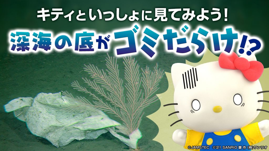 医療機関、かわいい系