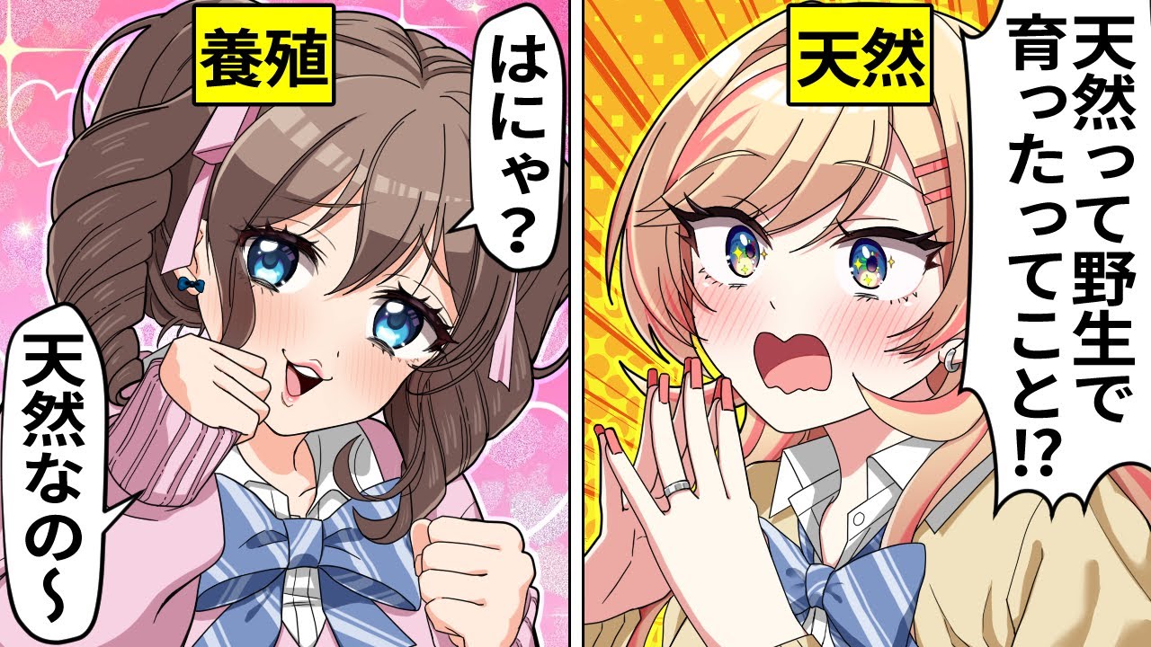 自称天然ぶりっこに超天然のギャルを会わせた結果…【アニメ】【ギャル】