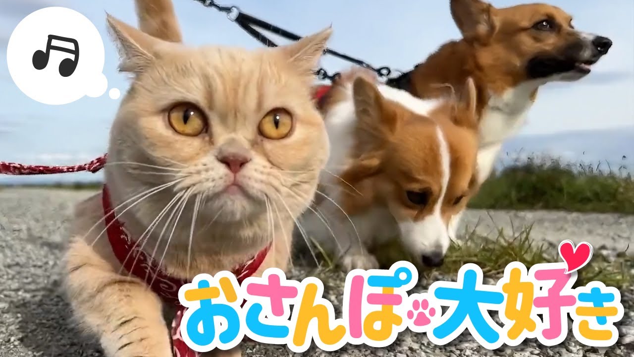 日常cg、ココナラ