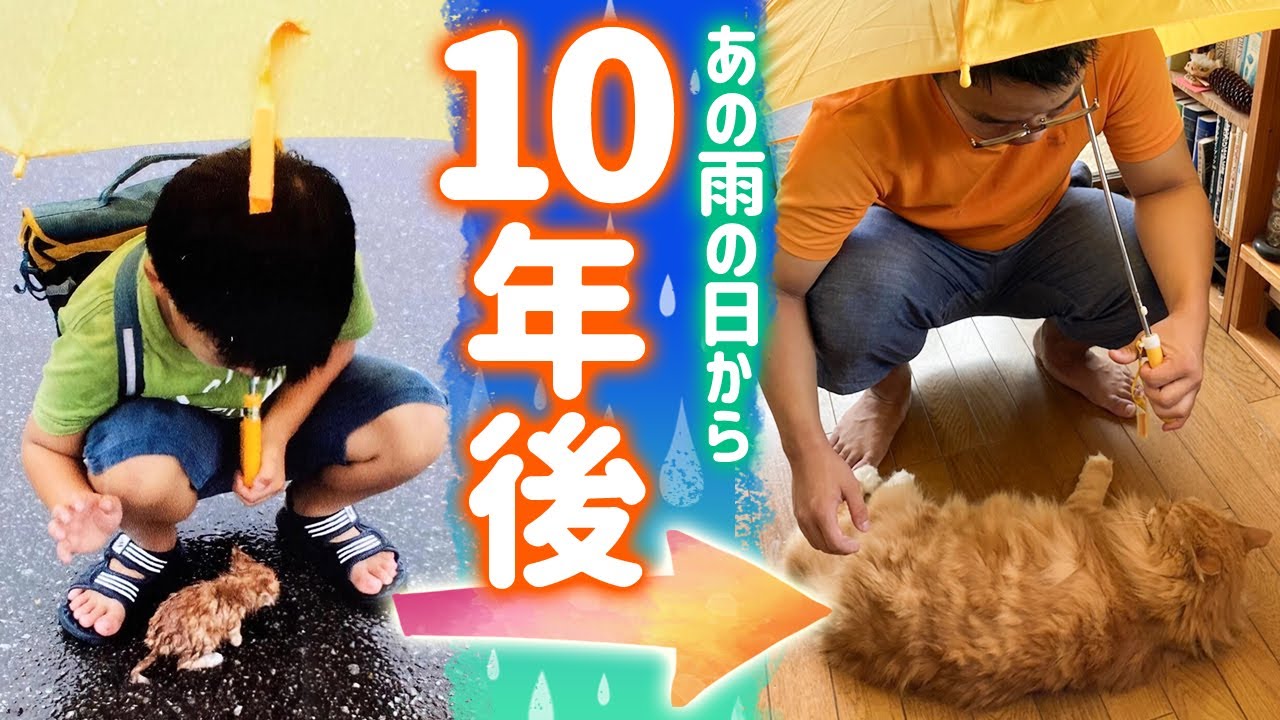 ココナラ、少年