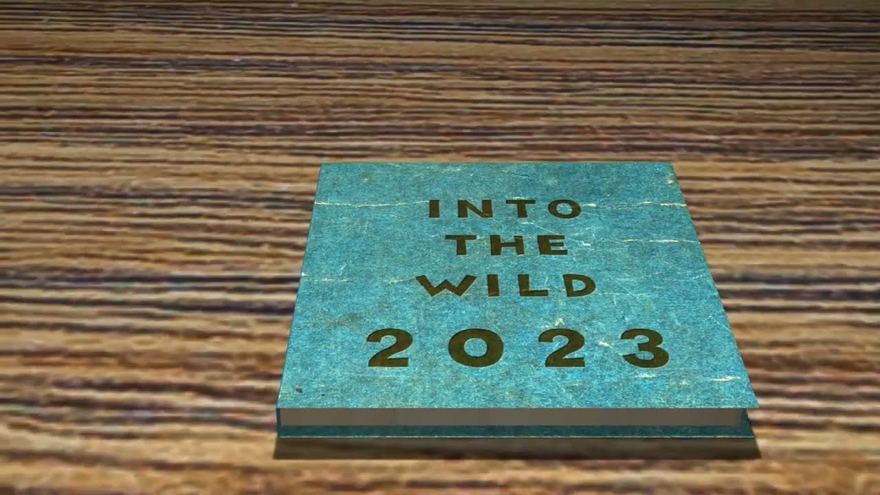 編集、after effect