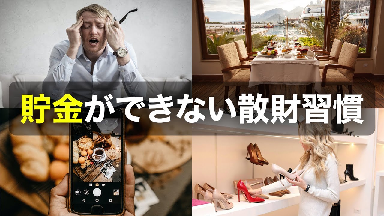 綺麗系、ポートフォリオ