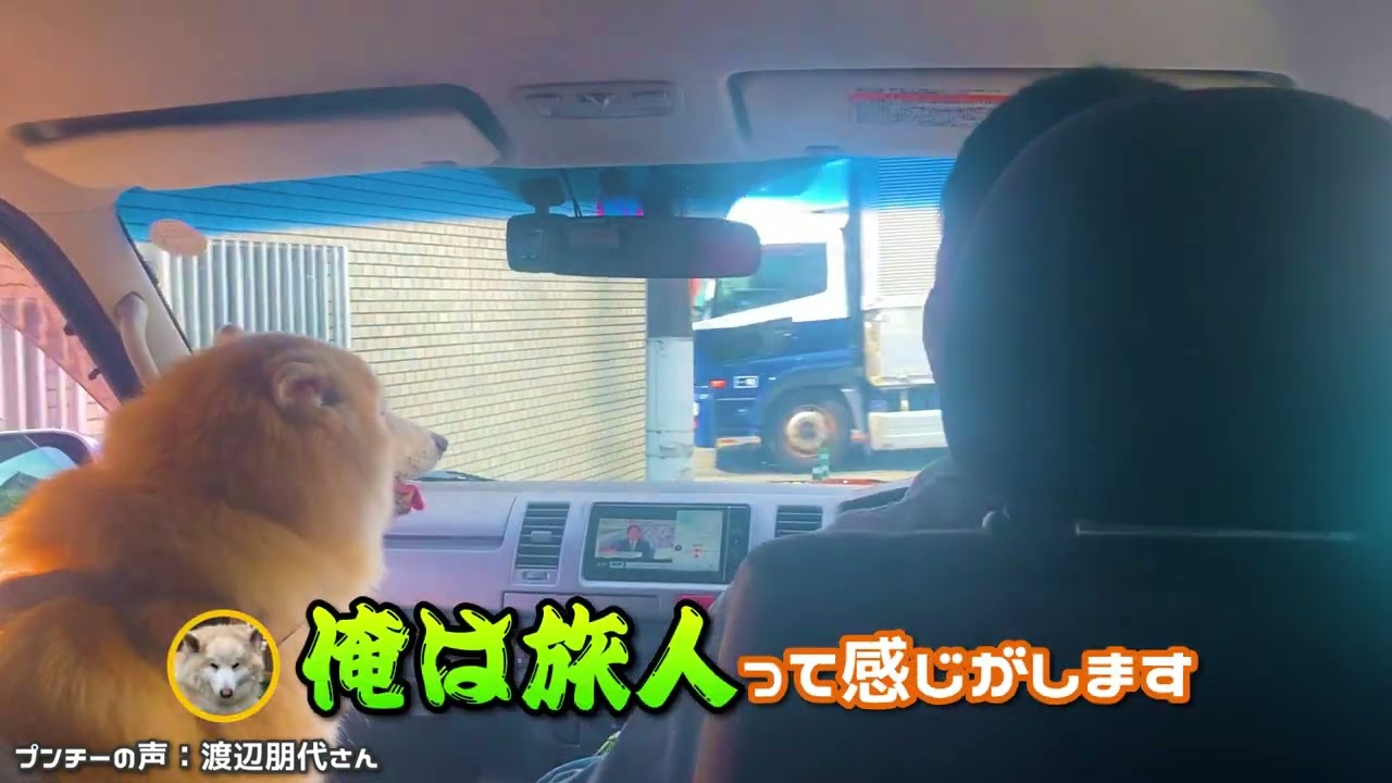 動画編集ポートフォリオ