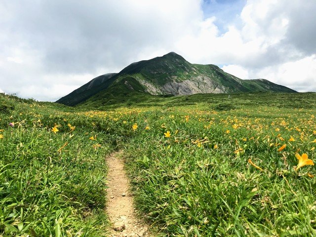 多様な高山植物が咲き誇る健脚ルート 三ノ峰・別山 上小池ルート