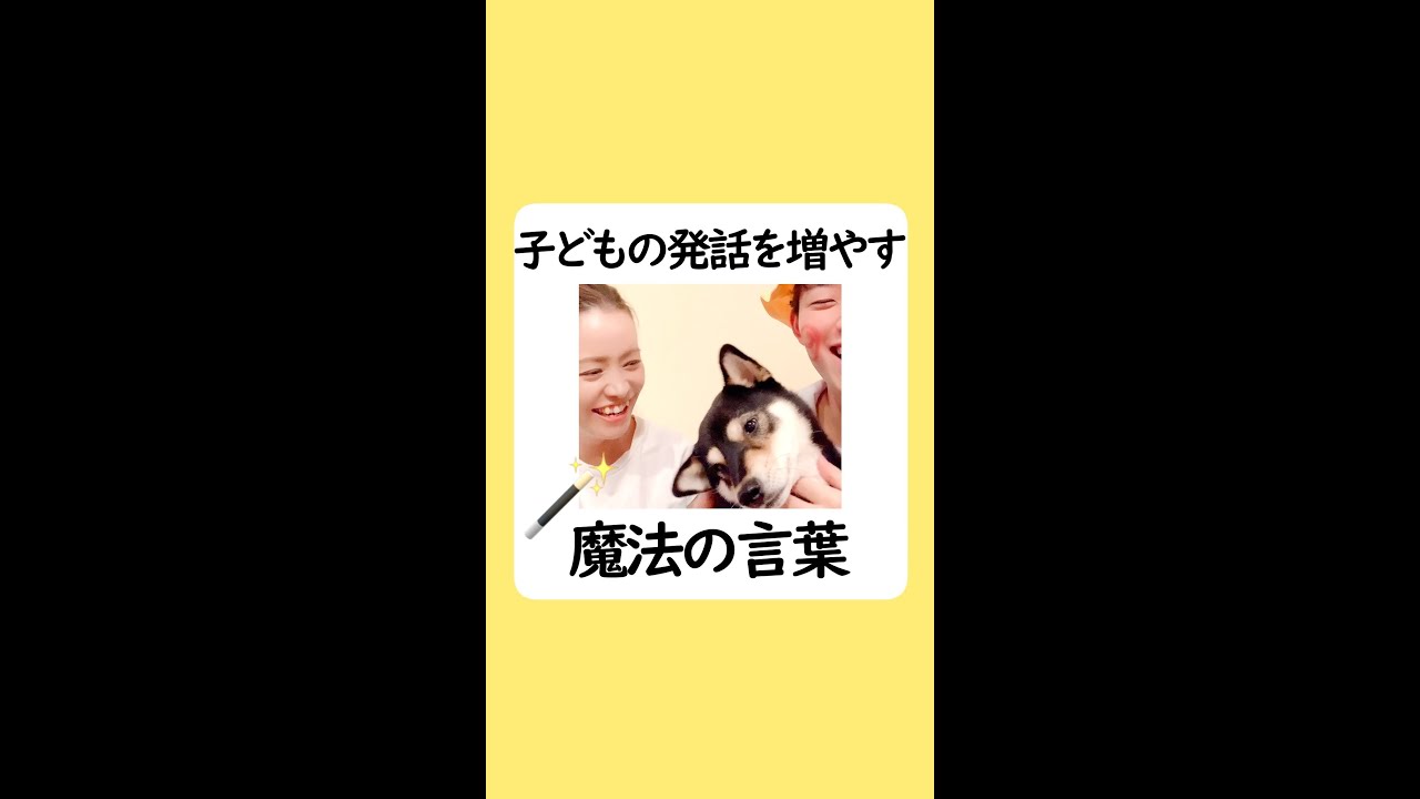 instagra、pv