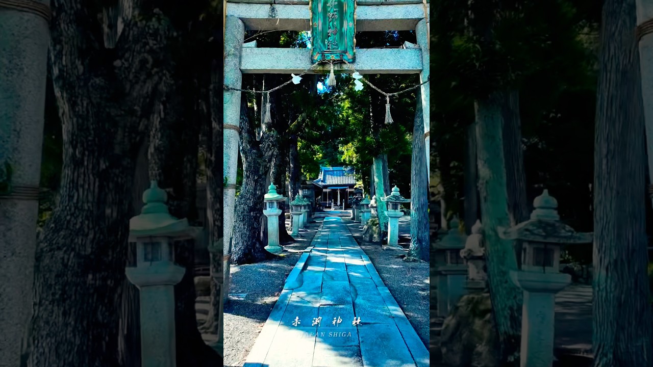 ■【滋賀県の原風景】崇徳天皇ゆかりの古社 東近江市平尾町の北野神社へタイムトリップ
#神社巡り #short #北野神社 #寺社仏閣 #旅行 #日本の風景 #癒し #絶景スポット