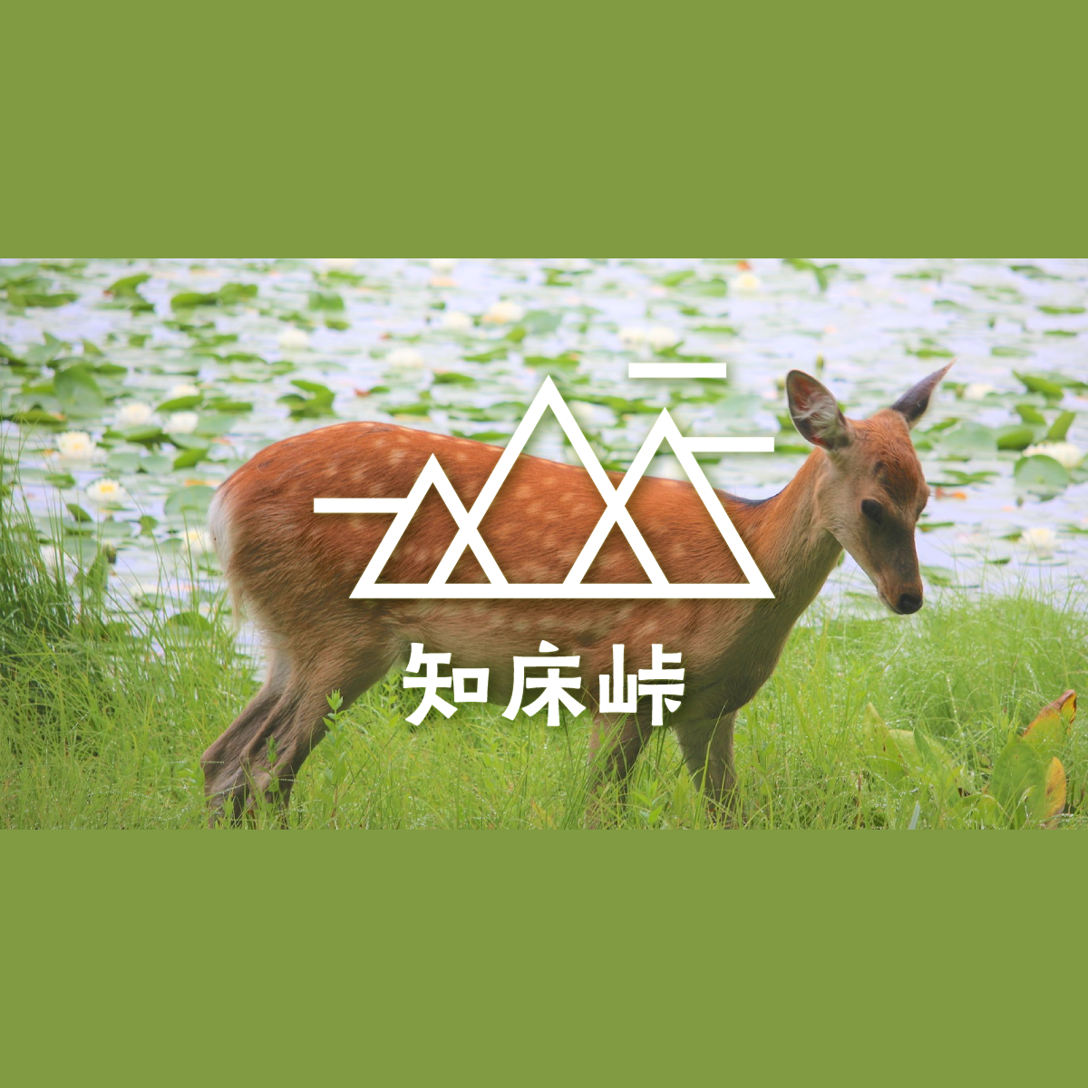 編集、ran tonosho