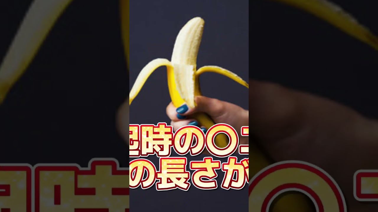 理想な〇ニス