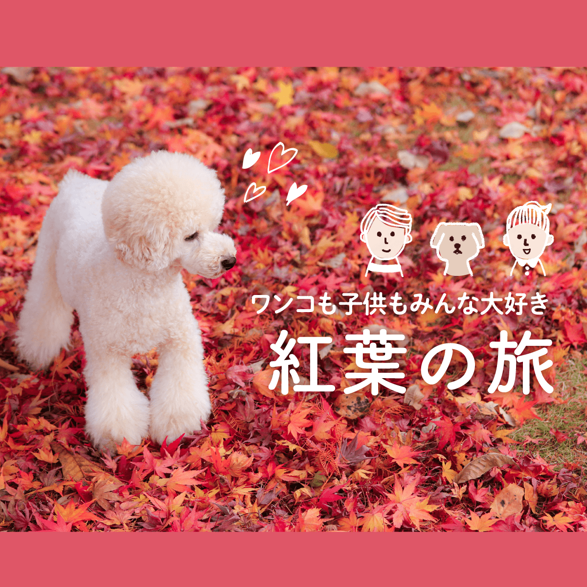 ワンコも子供もみんな大好き　紅葉の旅｜みんなの旅プラン【旅色】