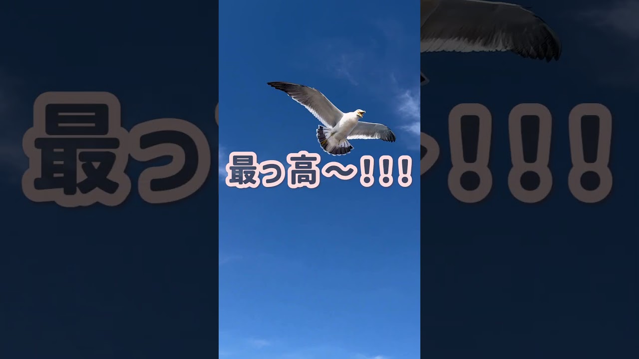 【ADDress様】Instagramリール2