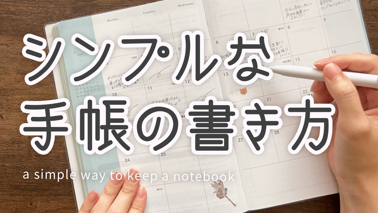 vlog風動画