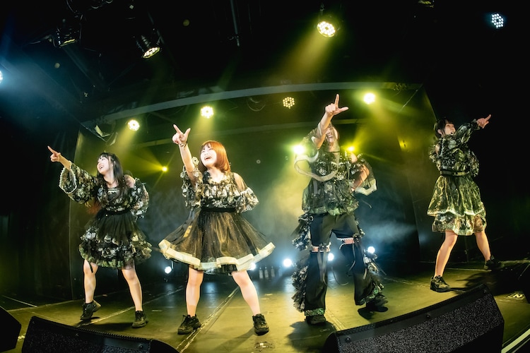 ed、ライブレポート