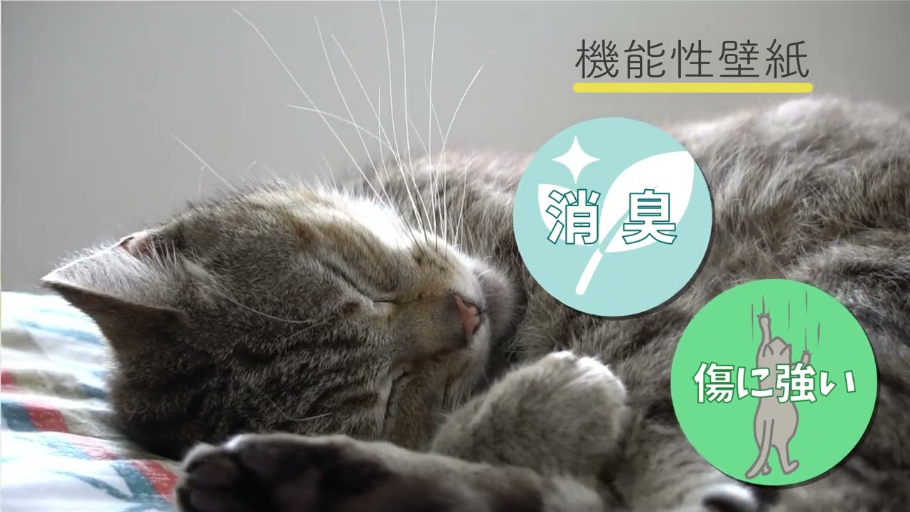 企業、ペット