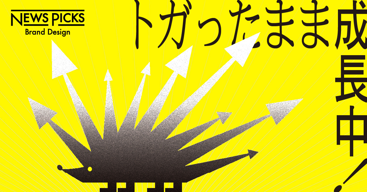 ショップカード、ハリネズミ