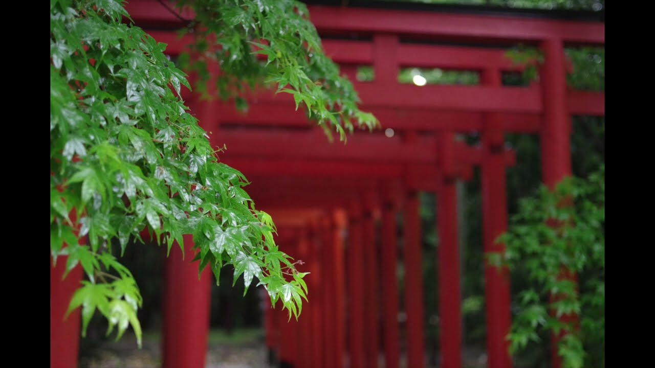 配信背景、japanese