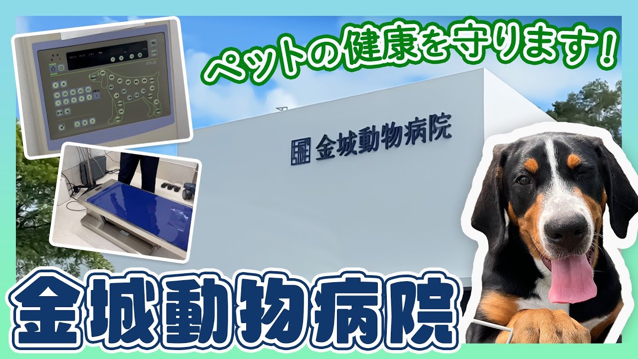 グラフィックデザイン、youtube動画編集