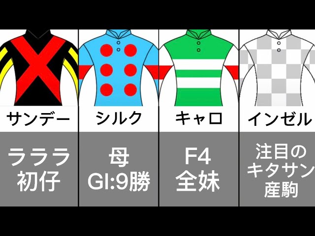 【一口馬主】2023年度注目募集馬候補7選