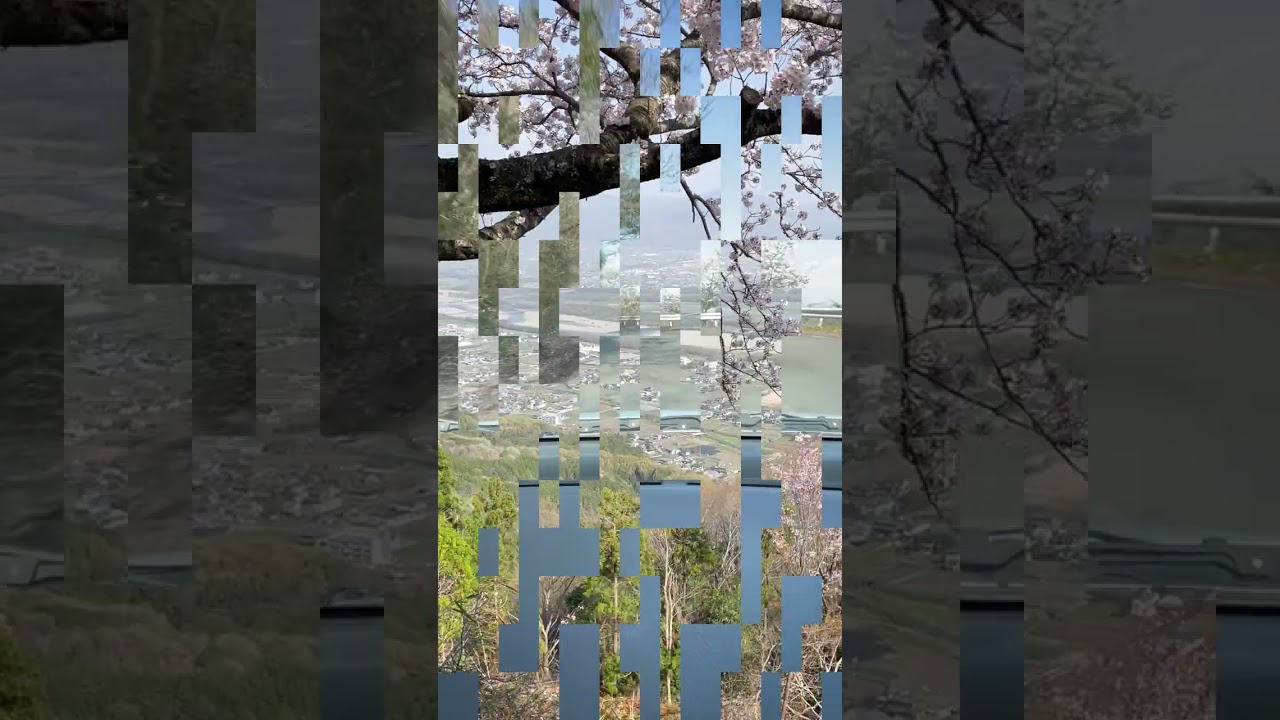 印刷、ショート動画