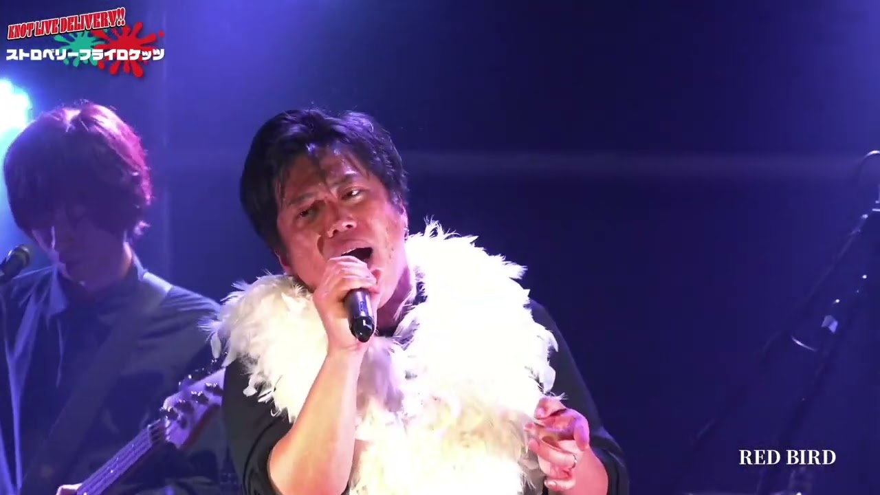 三遠ネオフェニックス非公式応援ソング「RED BIRD」ストロベリーフライロケッツ