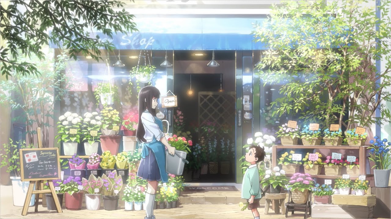 モーショングラフィックス、anime