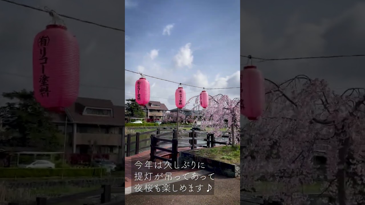 ショート動画、dtp