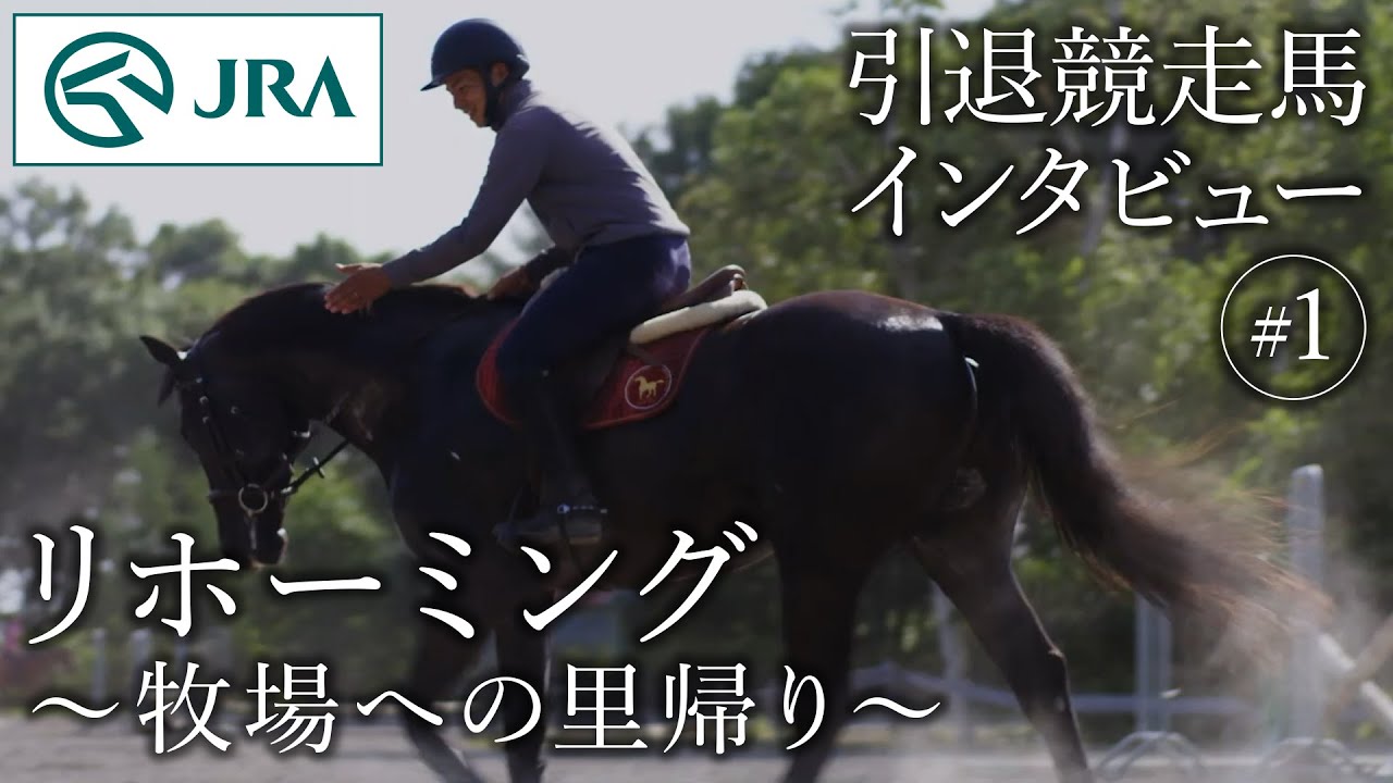ai、ネーミング