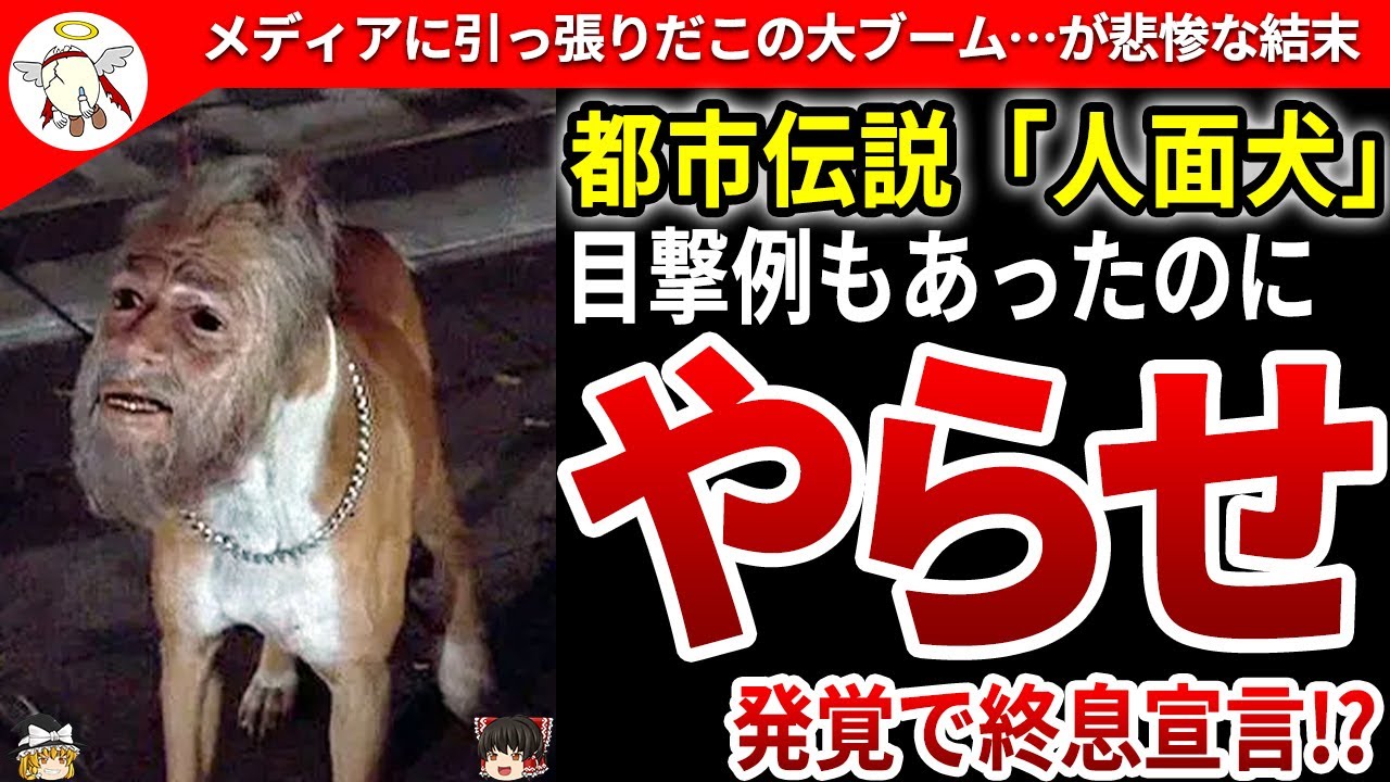 表紙、解説