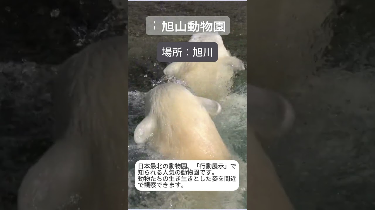 Instagram投稿　旅行紹介動画