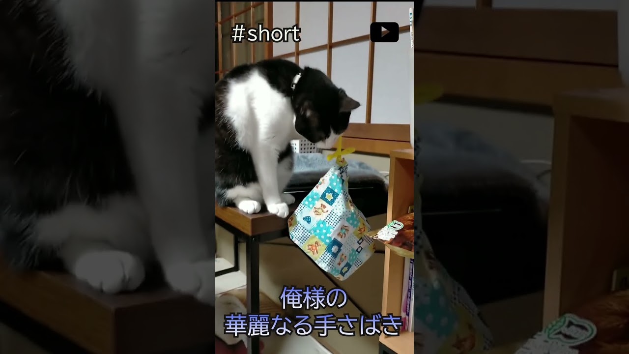 #shorts 俺様の華麗なる手さばき