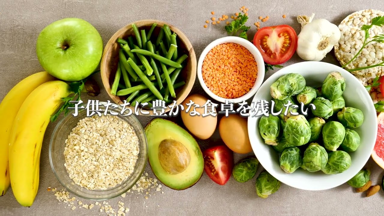 動画編集実績