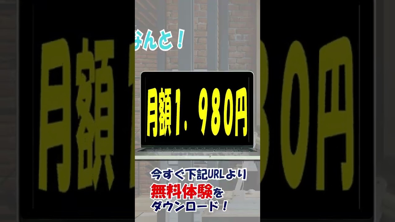 SNS動画広告